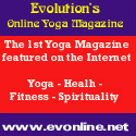 Evolution On-Line