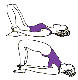 Lesson 9 - Flexibility of the Spine